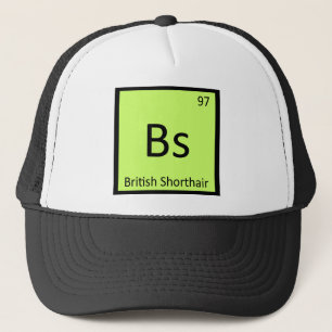 Bs - Britse Korthaar Kat Chemie Element Trucker Pet