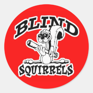 BS Voorruit Stickers