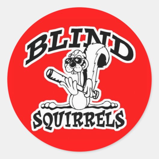 BS Voorruit Stickers (Voorkant)