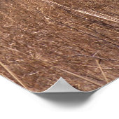 BSFL-windmolen Poster (Hoek)