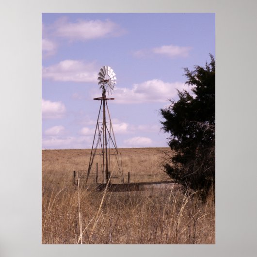 BSFL-windmolen Poster (Voorkant)