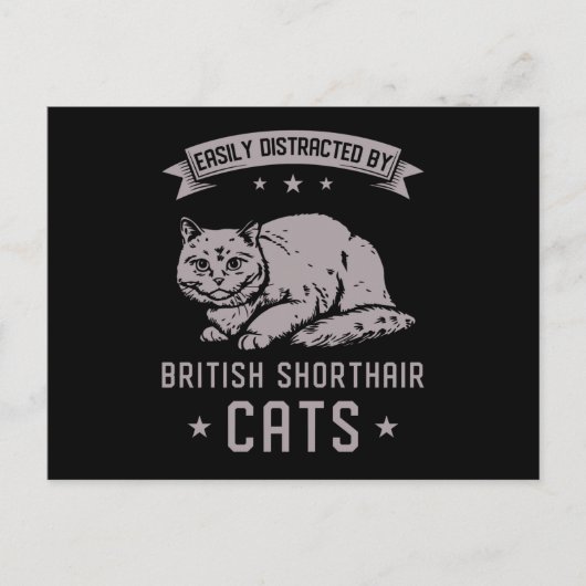 BSH British Shorthair Cat Briefkaart (Voorkant)