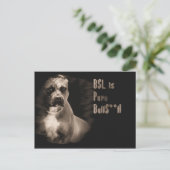 BSL is BS Post-kaart Briefkaart (Staand voorkant)