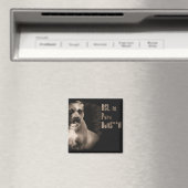 BSL is pure BS vierkante magneet (Insitu (Vaatwasser))