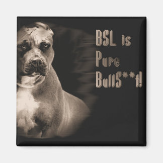 BSL is pure BS vierkante magneet