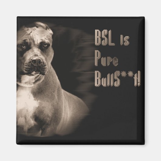 BSL is pure BS vierkante magneet (Voorkant)