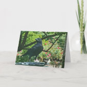 BT- Funy Crow Verjaardag Kaart (Voorkant)