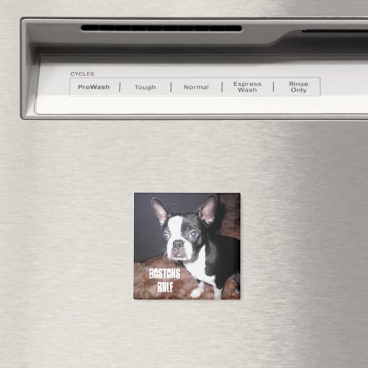 BT Magneet (Insitu (Vaatwasser))