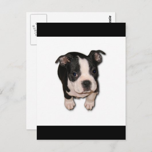 BTpup Briefkaart (Voorkant / Achterkant)