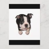 BTpup Briefkaart (Voorkant)