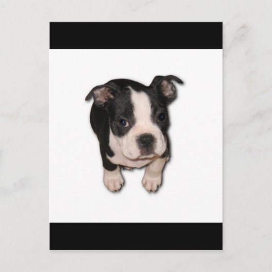 BTpup Briefkaart (Voorkant)