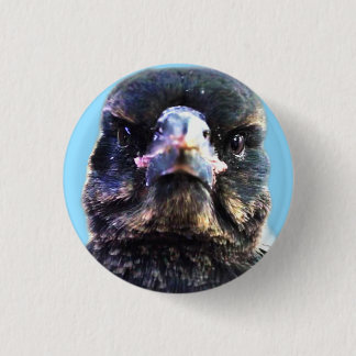 Bub the Australian Rescuing Magpie Ronde Button 3,2 Cm