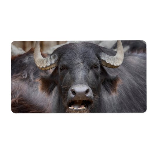 Bubalus bubalis etiket (Voorkant)