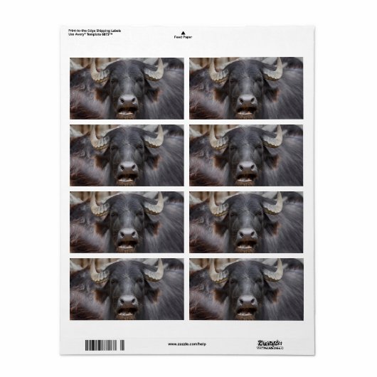 Bubalus bubalis etiket (Full Sheet)