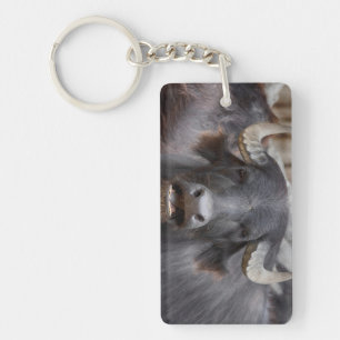 Bubalus bubalis sleutelhanger