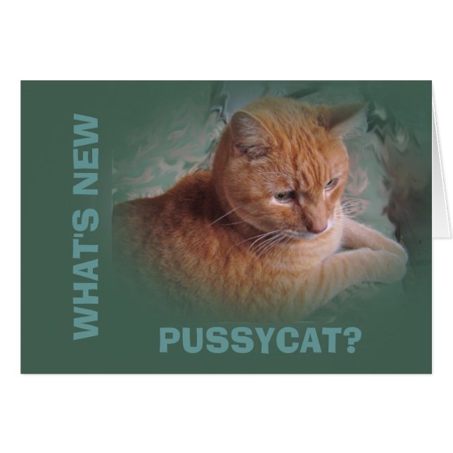 Bubba de Oranje tablet Tomcat (Voorkant Horizontaal)