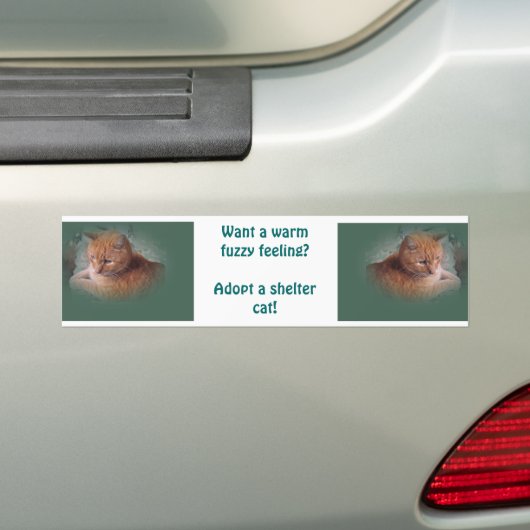 Bubba de Oranje tablet Tomcat Bumpersticker (Op auto)
