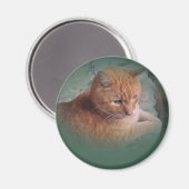Bubba de Oranje tablet Tomcat Magneet (Voorkant / Achterkant)