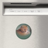 Bubba de Oranje tablet Tomcat Magneet (Insitu (Vaatwasser))