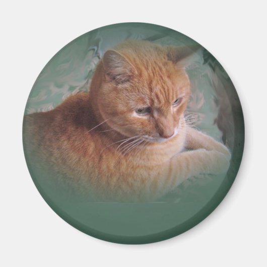 Bubba de Oranje tablet Tomcat Magneet (Voorkant)