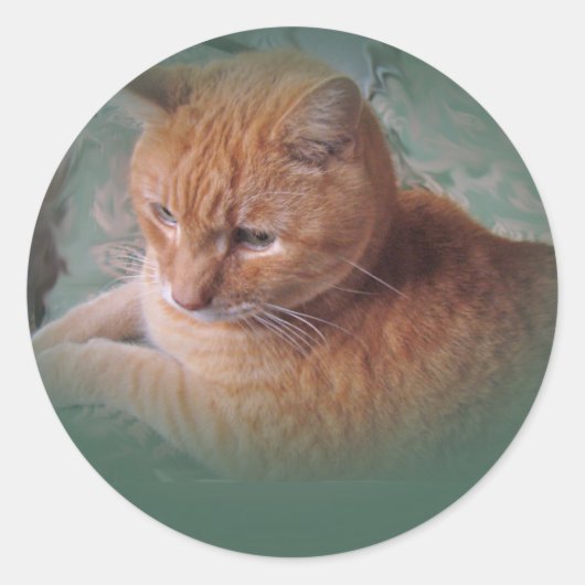 Bubba de Oranje tablet Tomcat Ronde Sticker (Voorkant)