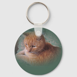 Bubba de Oranje tablet Tomcat Sleutelhanger