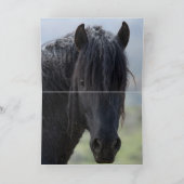 Bubba en Scarface Wild Horse Wenskaart Bedankkaart (Binnen)