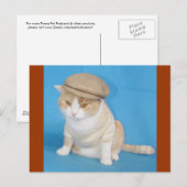 Bubba-Kat Briefkaart (Voorkant / Achterkant)