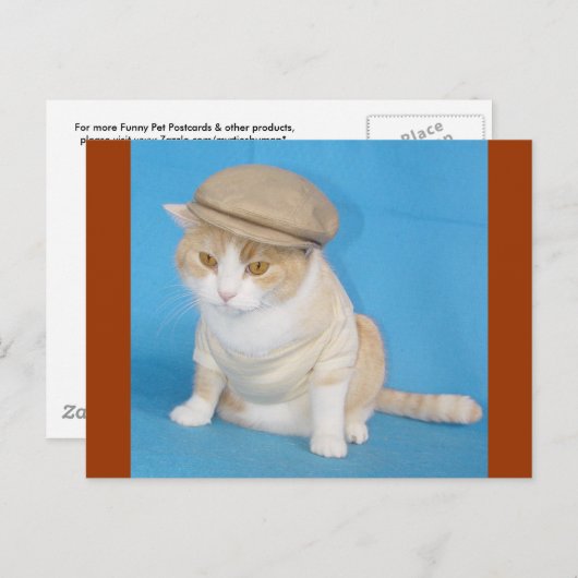 Bubba-Kat Briefkaart (Voorkant / Achterkant)