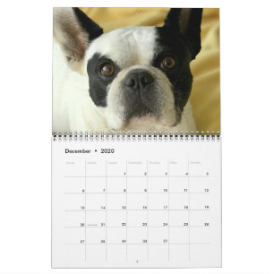 Bubba Louie 2020 Agenda Kalender