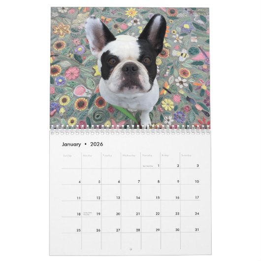 BUBBA LOUIE CALENDAR 2017 KALENDER (Jan 2026)
