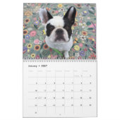 BUBBA LOUIE CALENDAR 2017 KALENDER (Jan 2027)
