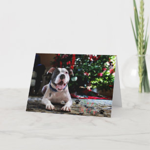 Bubba prettige feestdagen (plural:)