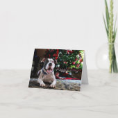 Bubba's Kerstwensen Feestdagen Kaart (Voorkant)