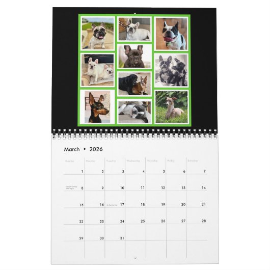 Bubbasphere 2024 kalender (Mar 2026)