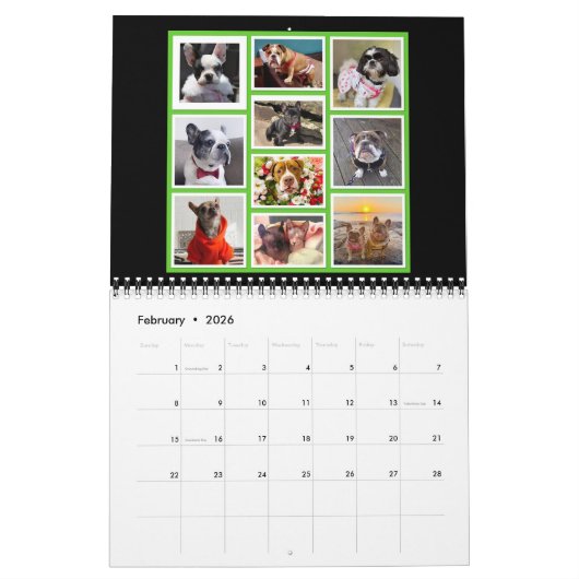 Bubbasphere 2024 kalender (Feb 2026)