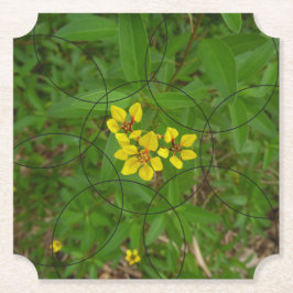 bubbelige bloemen kartonnen onderzetters