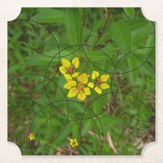 bubbelige bloemen kartonnen onderzetters (Voorkant)