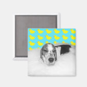 Bubble bad liefde magneet (Voorkant / Achterkant)