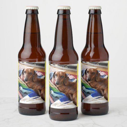 Bubble Bum Brew Dachshund Ber Label Bier Etiket (Flessen)