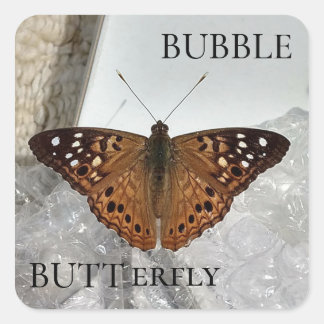 Bubble BUTTERFLY Vierkante Sticker