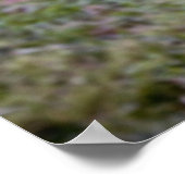 Bubble-foto Poster (Hoek)