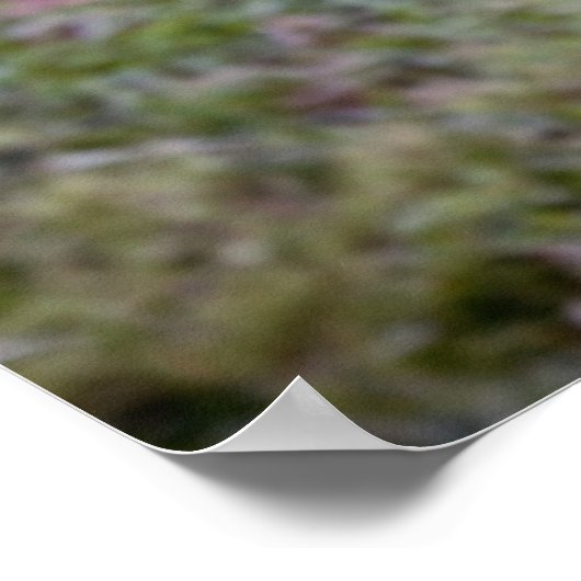 Bubble-foto Poster (Hoek)