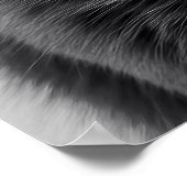 Bubble Gum Cat Poster (Hoek)