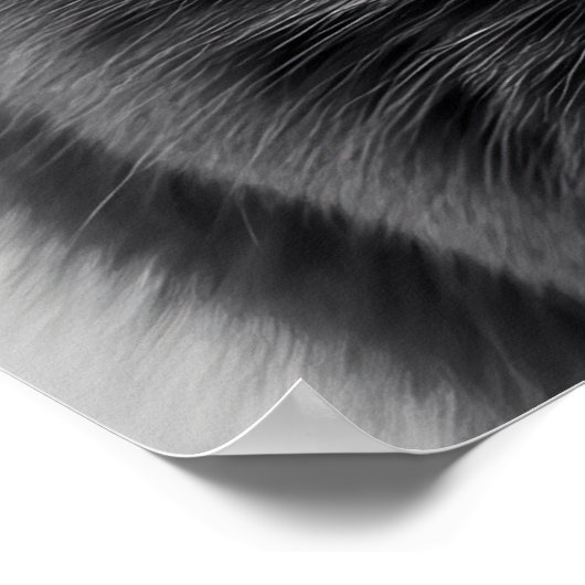 Bubble Gum Cat Poster (Hoek)