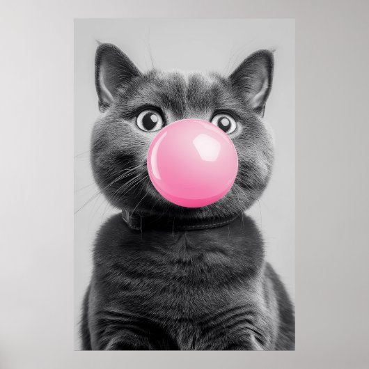 Bubble Gum Cat Poster (Voorkant)