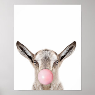 Bubble Gum Geitenwand Print