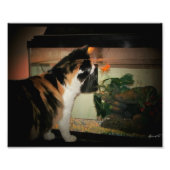 Bubble Kiss Foto Afdruk (Voorkant)