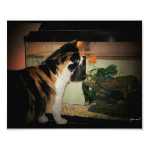 Bubble Kiss Foto Afdruk