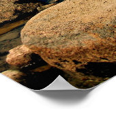 Bubble Rock Poster (Hoek)